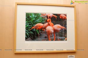 Aparna Sairam Photo Exhibition