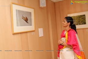 Aparna Sairam Photo Exhibition