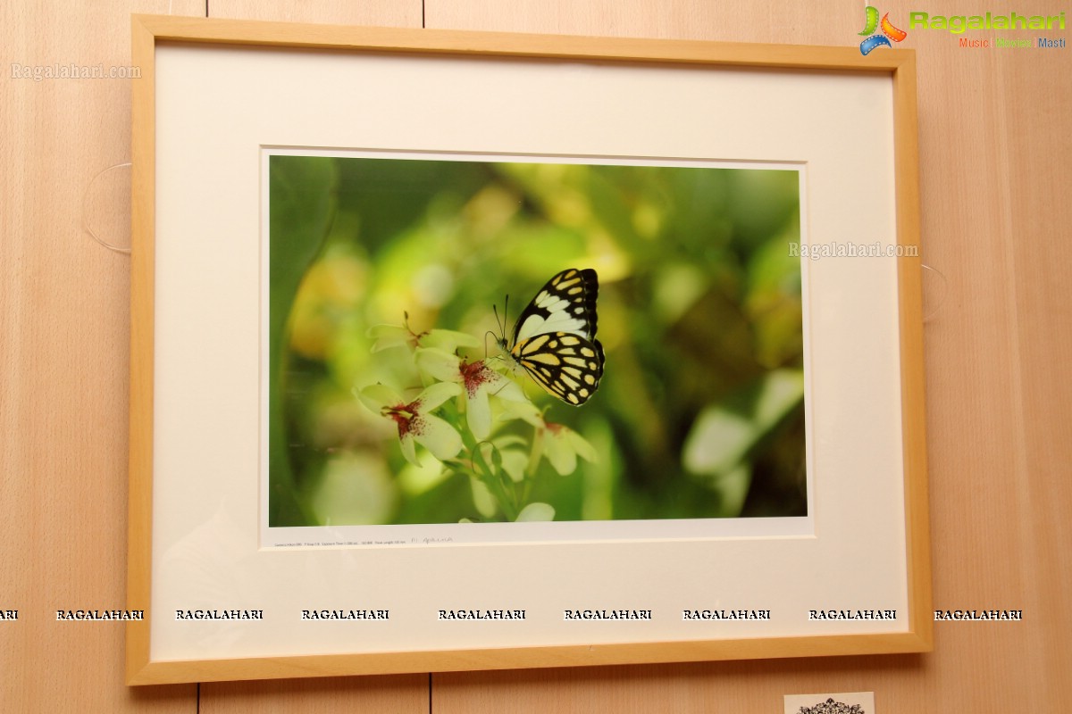 Aparna Sairam Photo Exhibition at CCRT, Hyderabad