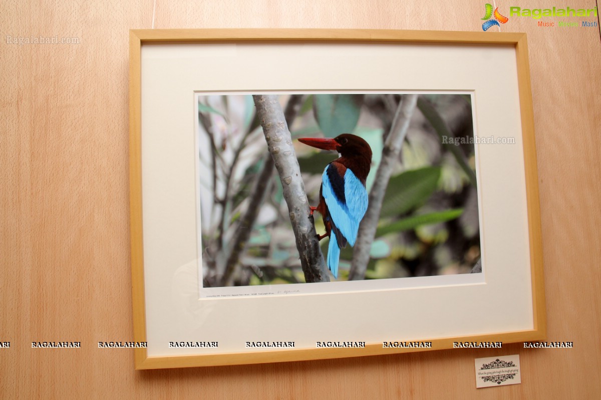 Aparna Sairam Photo Exhibition at CCRT, Hyderabad