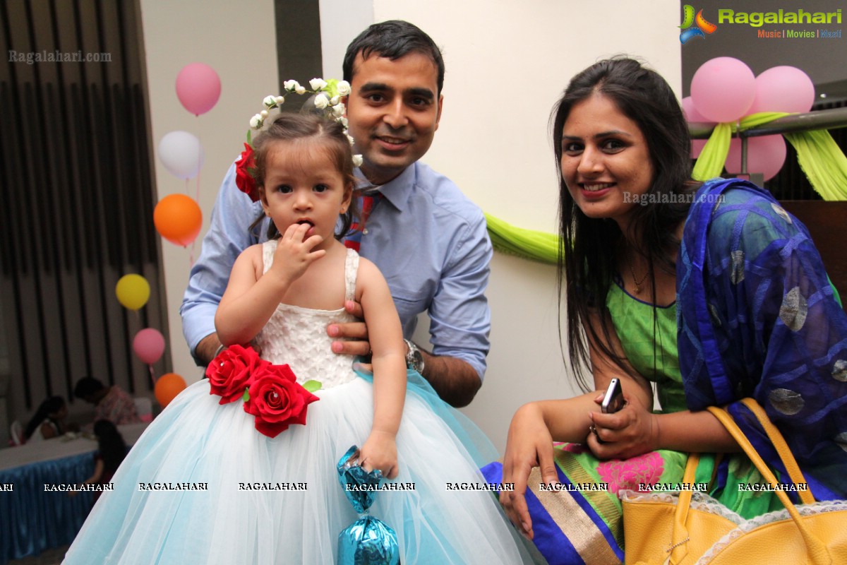 Birthday Celebrations of Baby Aveka