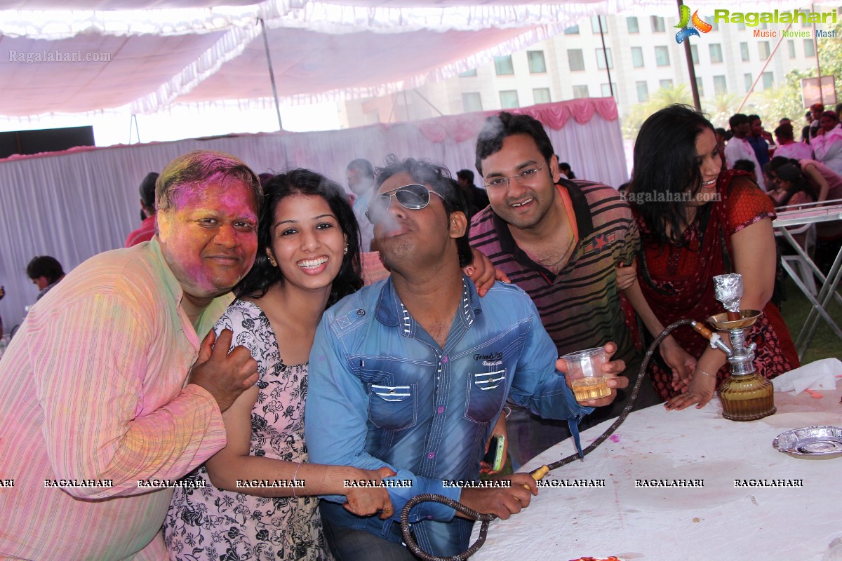 Bam Bam Holi Fest by Bisket and Anup Chandak at Novotel Airport, Hyderabad