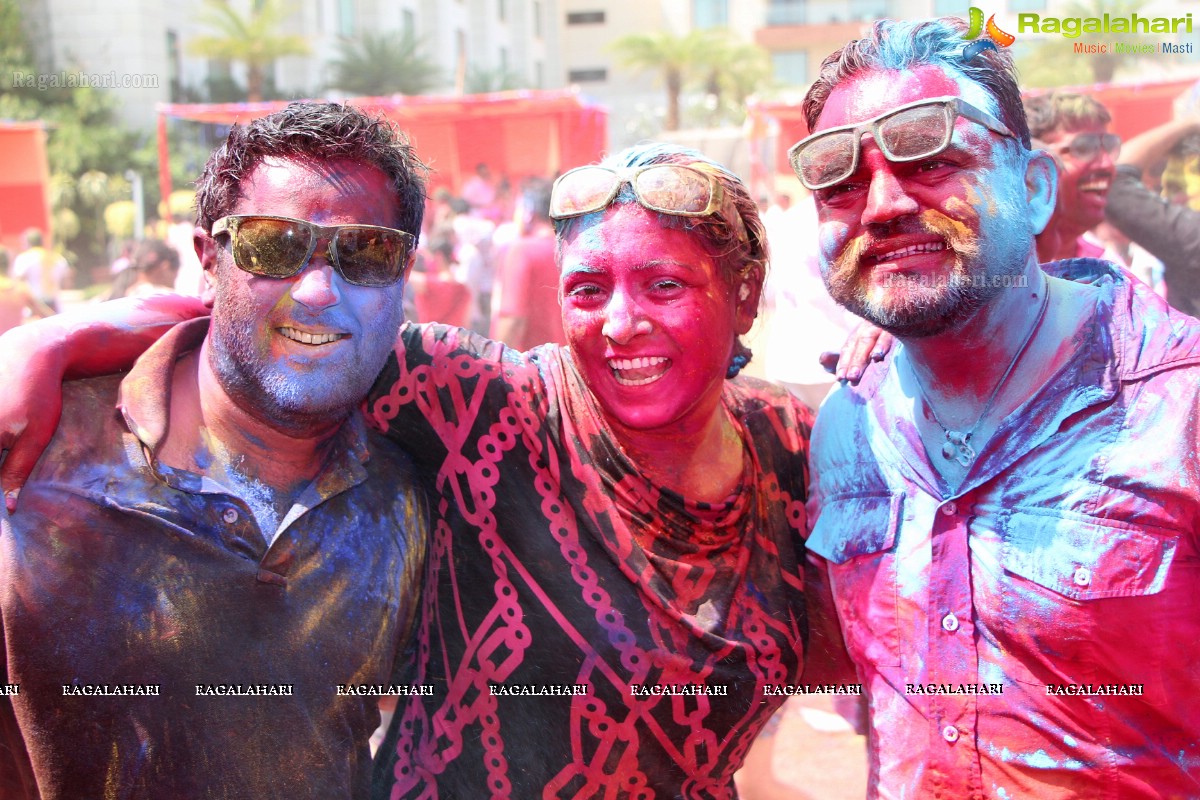 Bam Bam Holi Fest by Bisket and Anup Chandak at Novotel Airport, Hyderabad