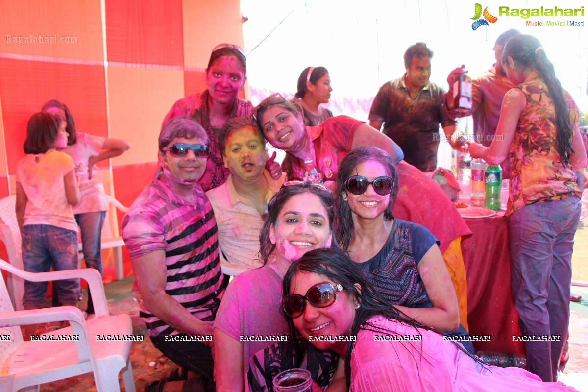 Bam Bam Holi Fest by Bisket and Anup Chandak at Novotel Airport, Hyderabad