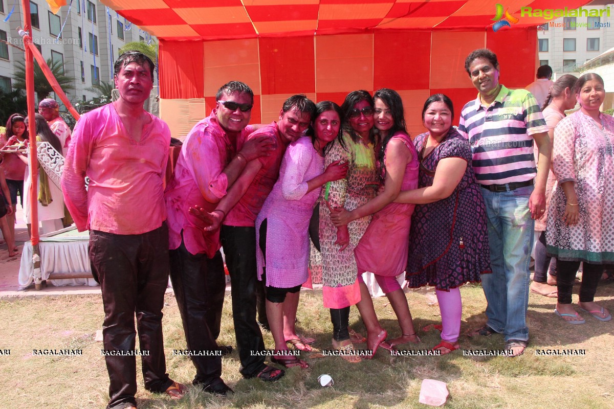 Bam Bam Holi Fest by Bisket and Anup Chandak at Novotel Airport, Hyderabad