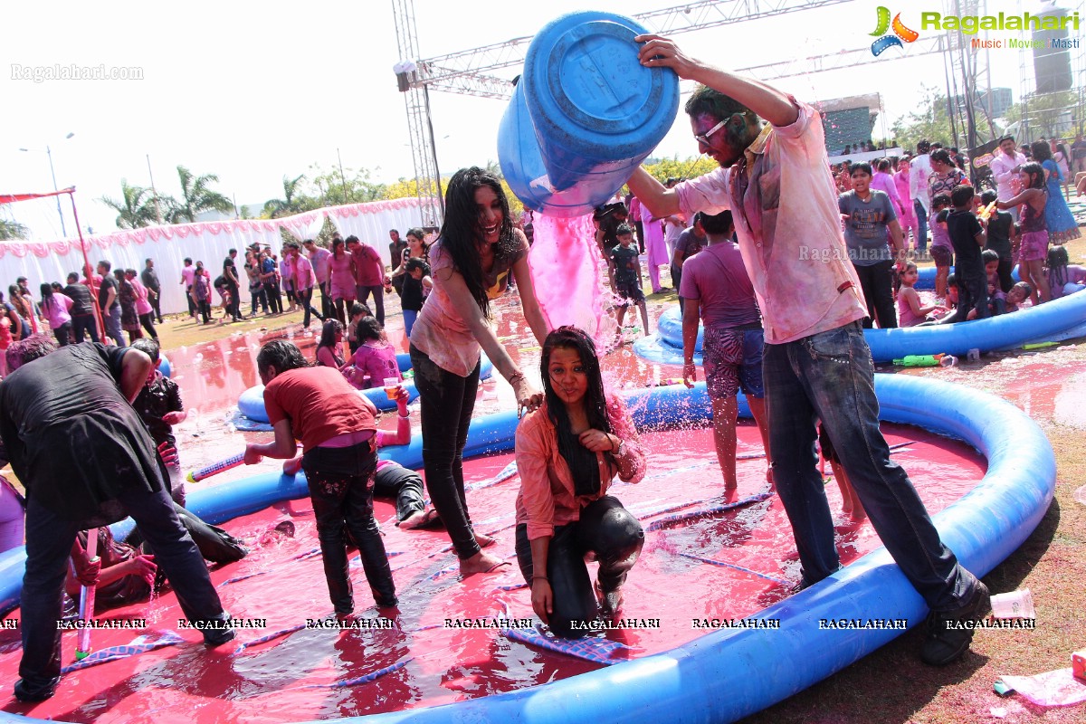 Bam Bam Holi Fest by Bisket and Anup Chandak at Novotel Airport, Hyderabad