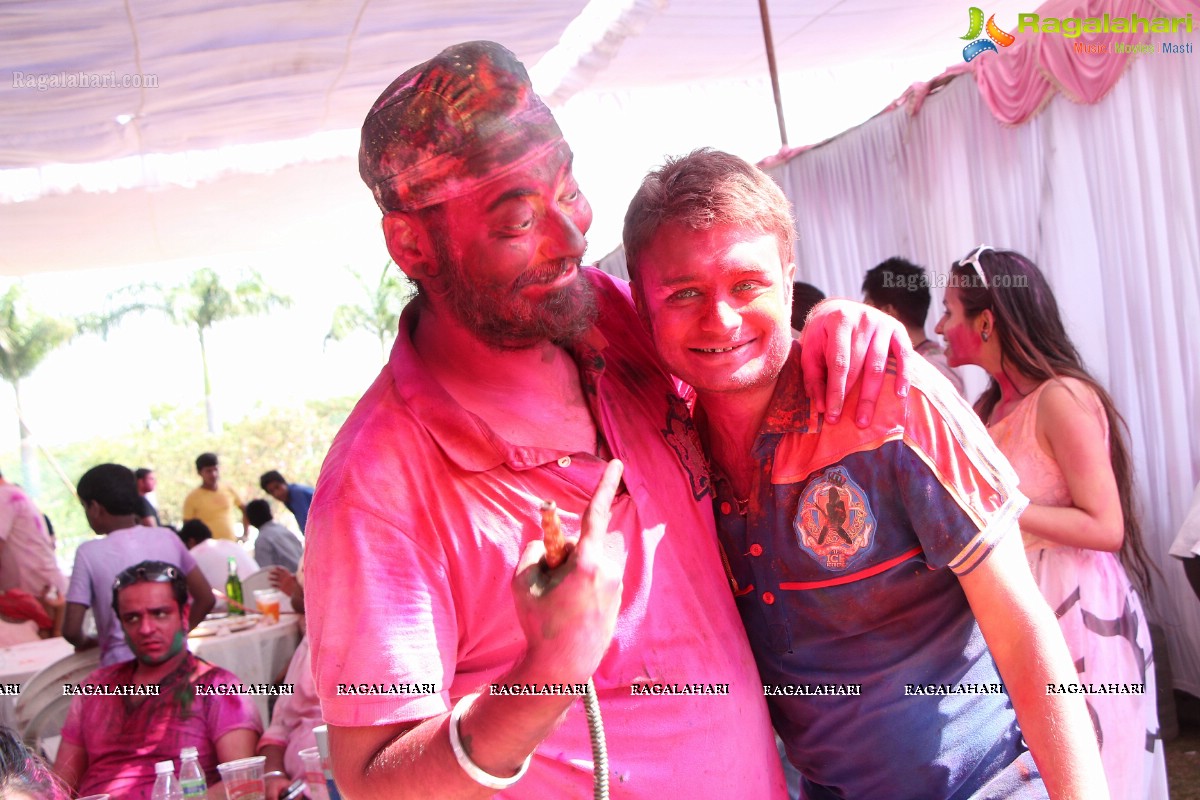 Bam Bam Holi Fest by Bisket and Anup Chandak at Novotel Airport, Hyderabad