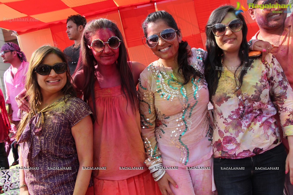 Bam Bam Holi Fest by Bisket and Anup Chandak at Novotel Airport, Hyderabad