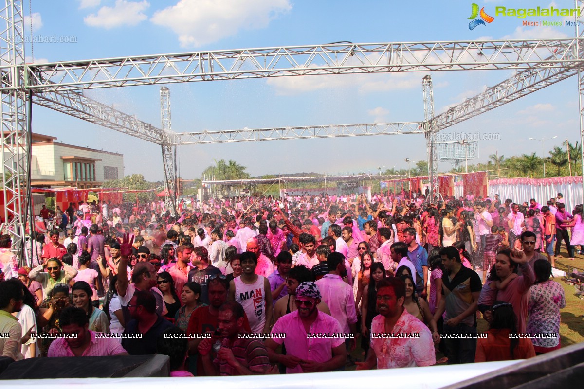 Bam Bam Holi Fest by Bisket and Anup Chandak at Novotel Airport, Hyderabad