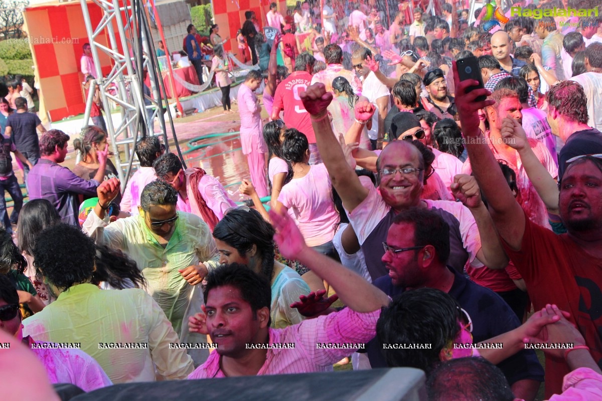 Bam Bam Holi Fest by Bisket and Anup Chandak at Novotel Airport, Hyderabad