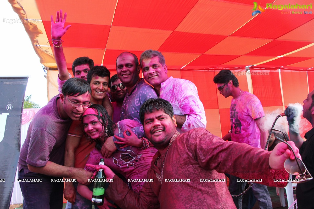 Bam Bam Holi Fest by Bisket and Anup Chandak at Novotel Airport, Hyderabad