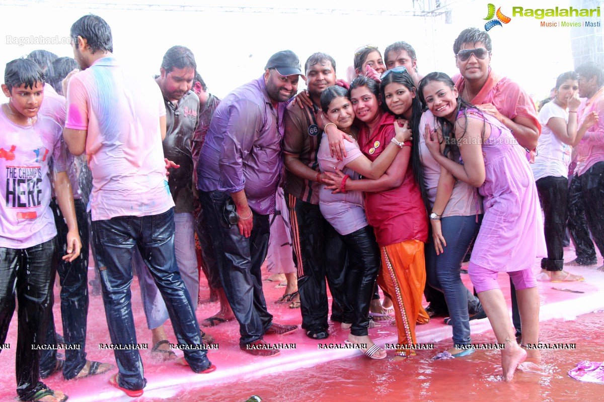 Bam Bam Holi Fest by Bisket and Anup Chandak at Novotel Airport, Hyderabad