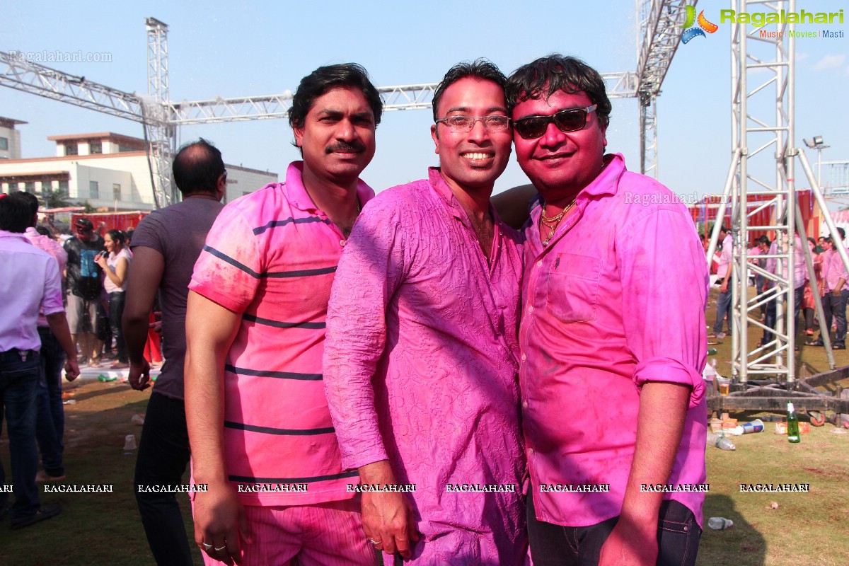 Bam Bam Holi Fest by Bisket and Anup Chandak at Novotel Airport, Hyderabad