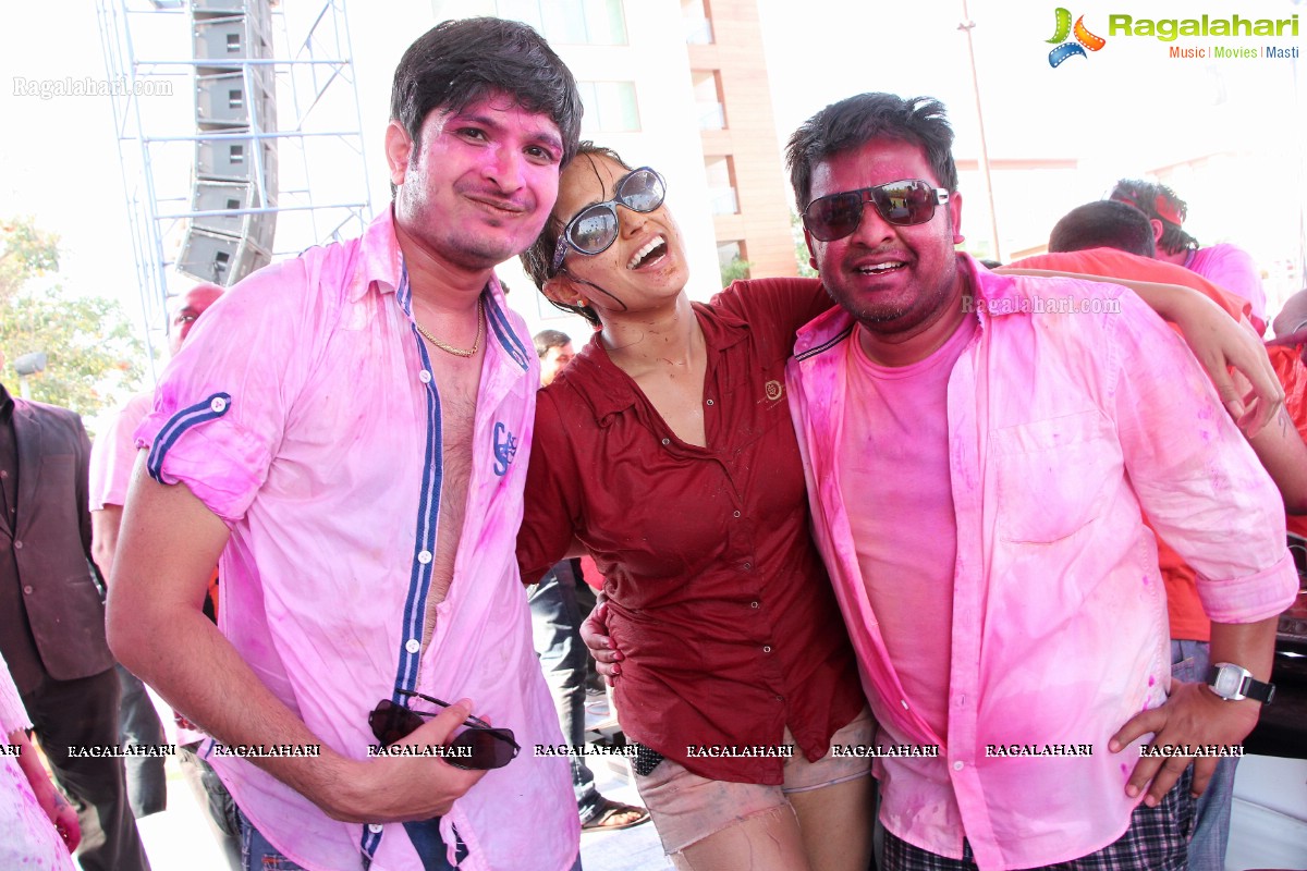 Bam Bam Holi Fest by Bisket and Anup Chandak at Novotel Airport, Hyderabad