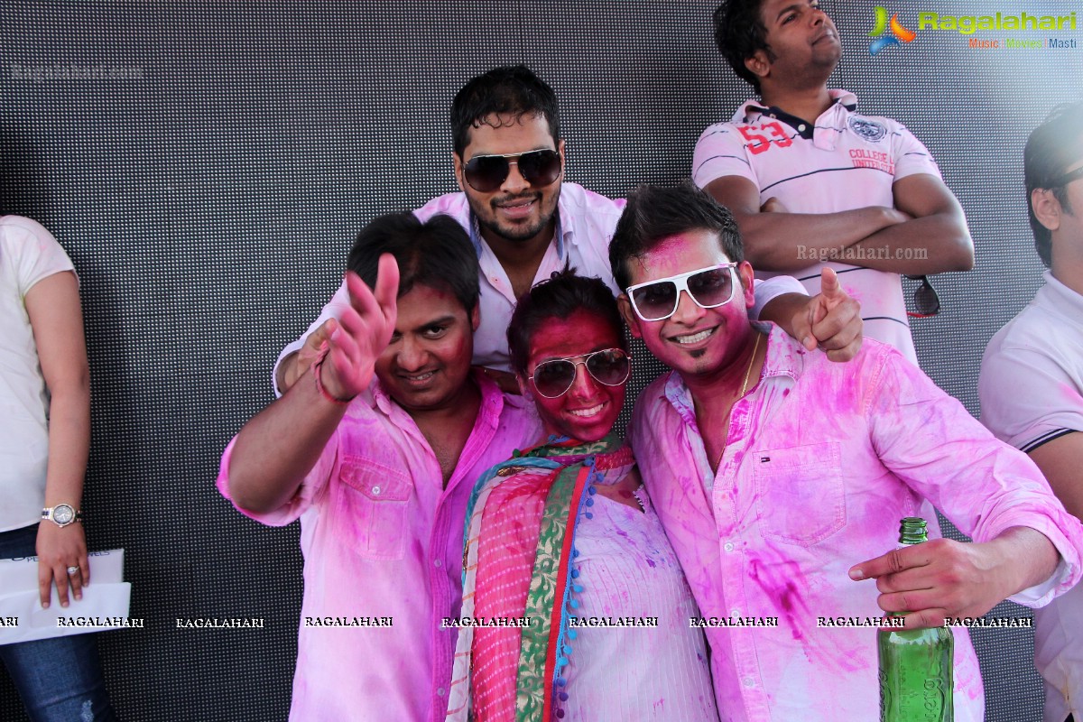 Bam Bam Holi Fest by Bisket and Anup Chandak at Novotel Airport, Hyderabad