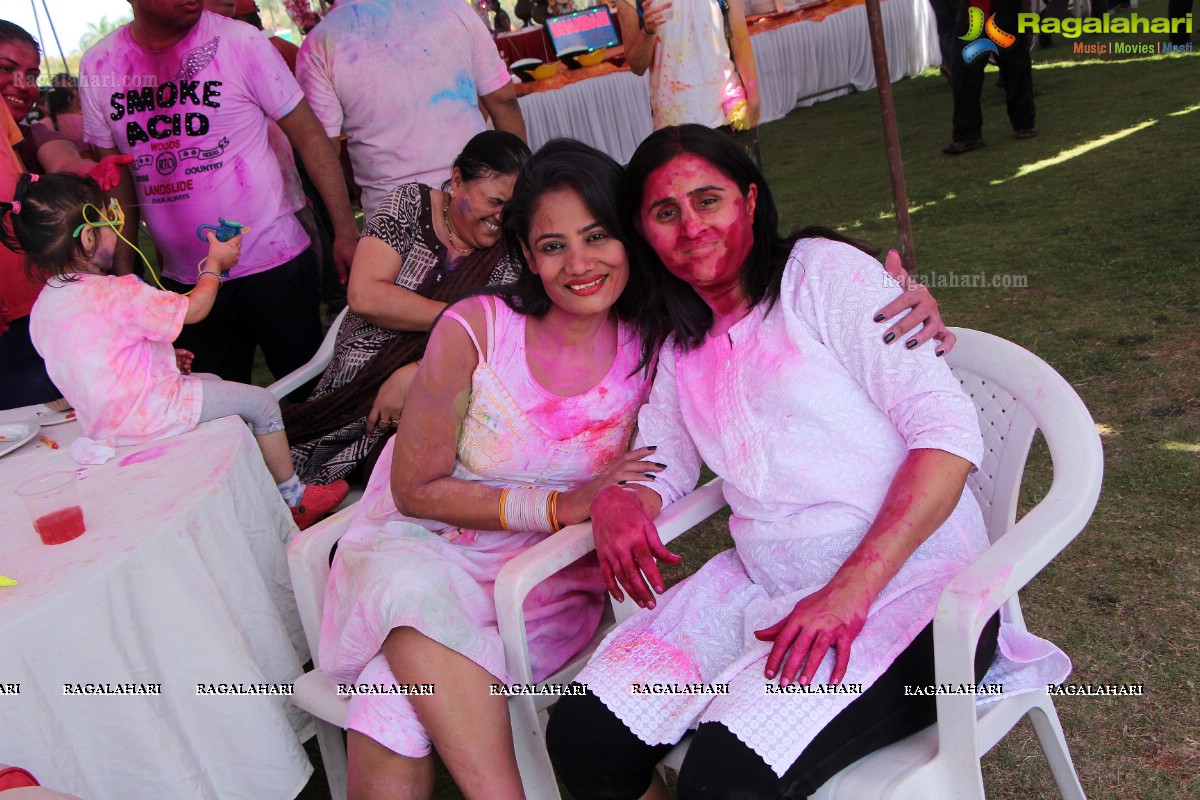 Bam Bam Holi Fest by Bisket and Anup Chandak at Novotel Airport, Hyderabad