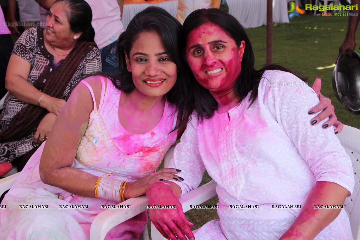 Bam Bam Holi Fest by Bisket and Anup Chandak at Novotel Airport, Hyderabad