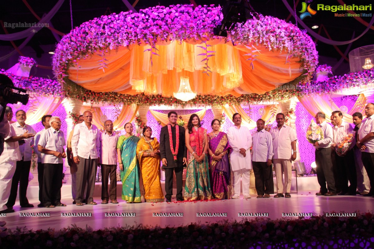 Wedding Reception of Eknath Reddy and Pragnya Reddy