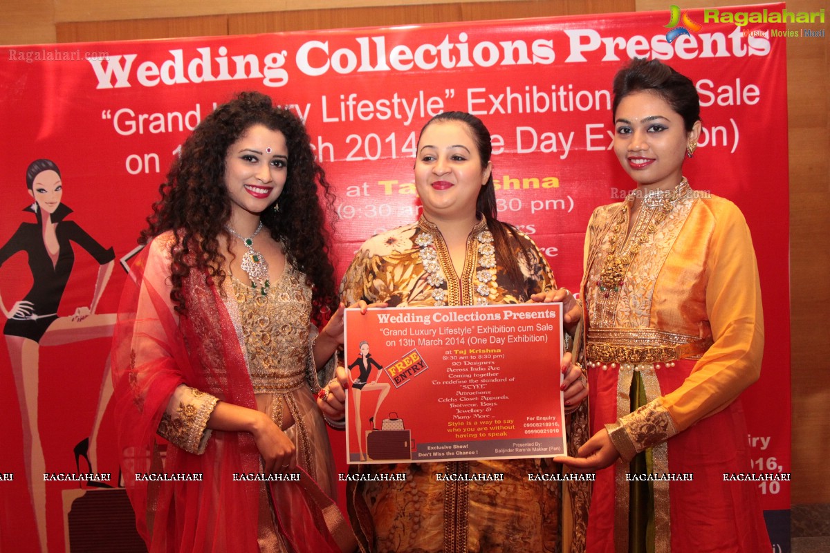 Grand Luxury Lifestyle Exhibition 2014 Curtain Raiser, Hyderabad