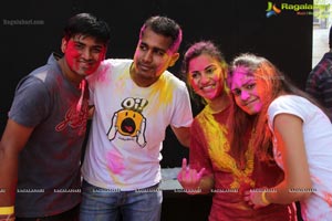 Holi Celebrations 2014 at Hotel Manohar