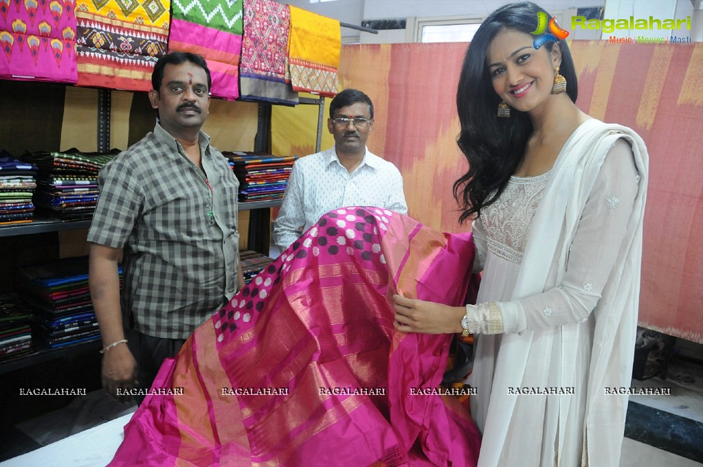 Shubra Aiyappa launches Pochampally IKAT Art Mela 2014, Bangalore