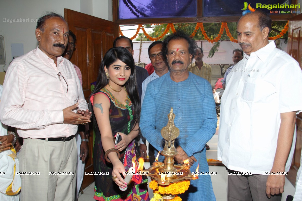 Lepakshi Handloom, Cotton & Silk Mela (March 2014), Hyderabad