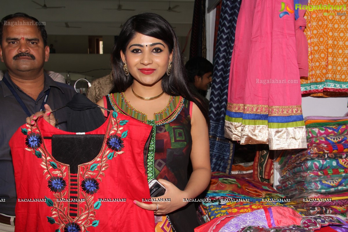 Lepakshi Handloom, Cotton & Silk Mela (March 2014), Hyderabad