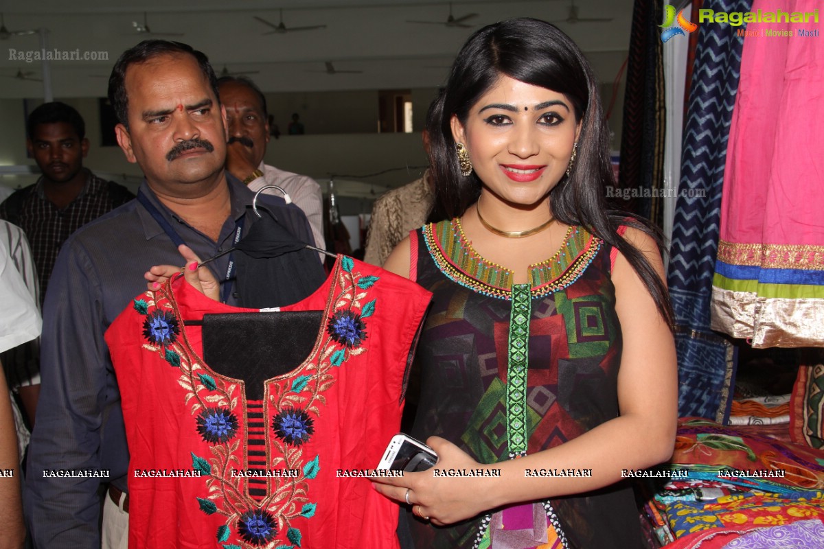 Lepakshi Handloom, Cotton & Silk Mela (March 2014), Hyderabad