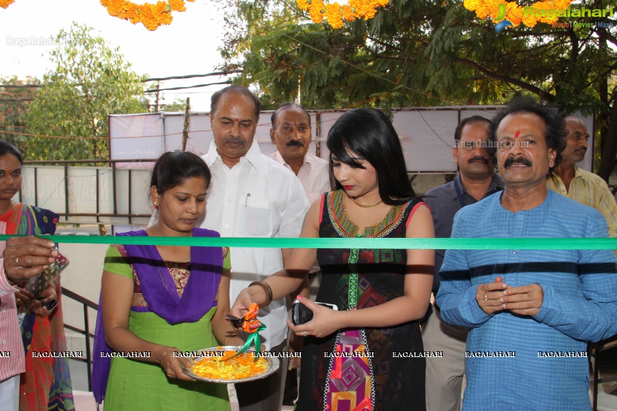 Lepakshi Handloom, Cotton & Silk Mela (March 2014), Hyderabad