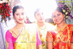 Manisha-Manmohan Goud Wedding