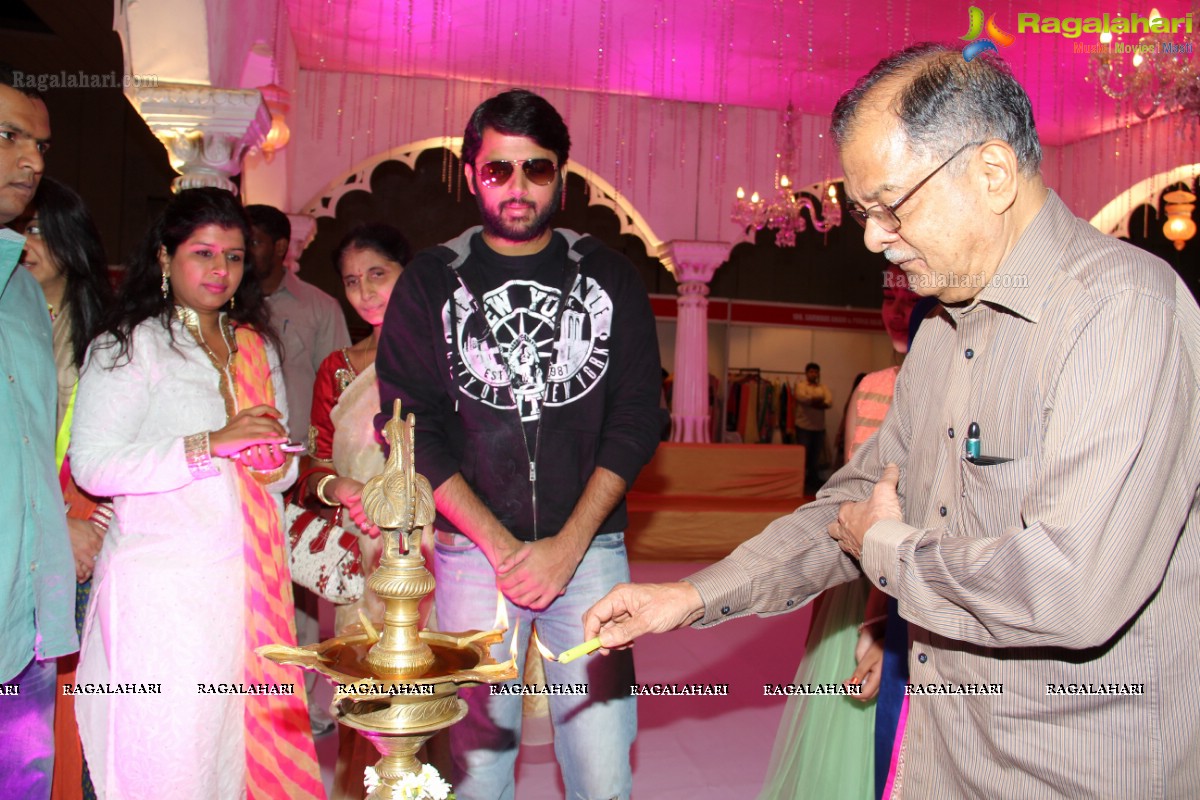 Nithiin launches Royal Wedding Carnival 2014