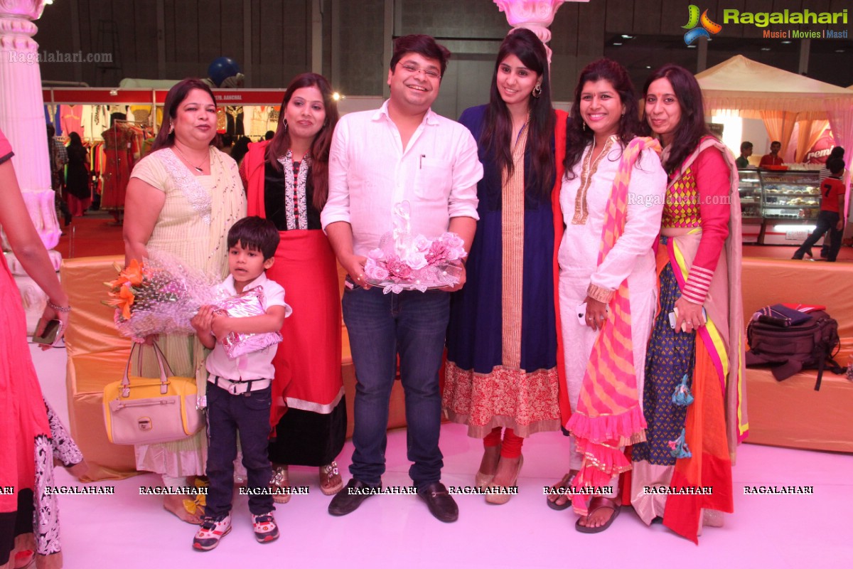 Nithiin launches Royal Wedding Carnival 2014