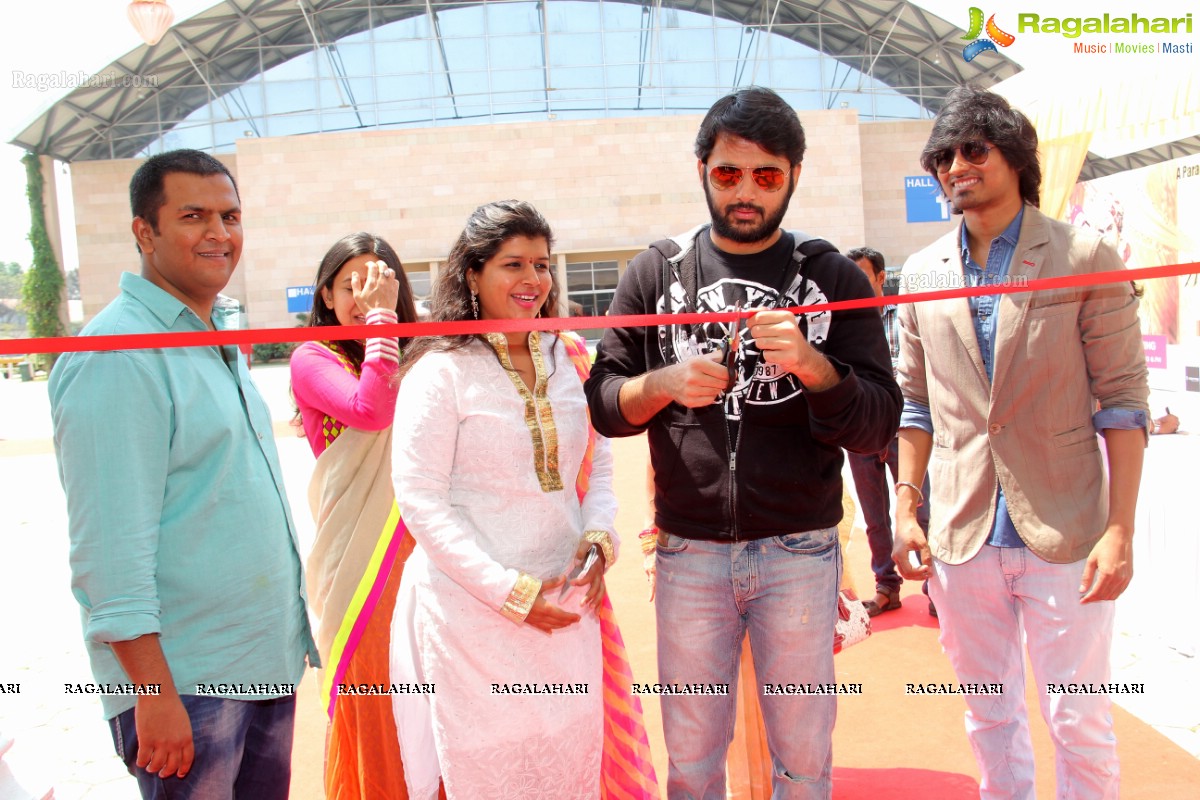 Nithiin launches Royal Wedding Carnival 2014