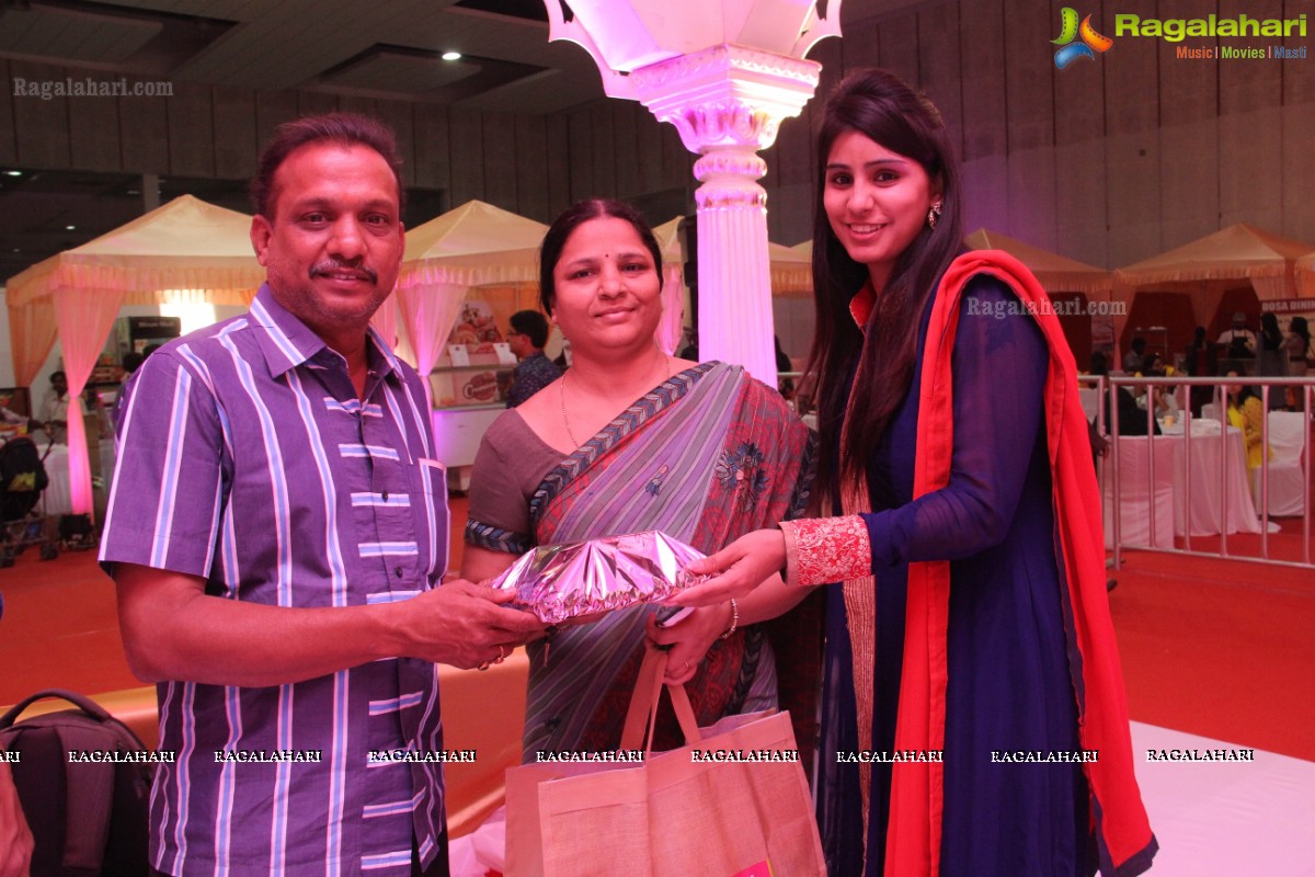 Nithiin launches Royal Wedding Carnival 2014