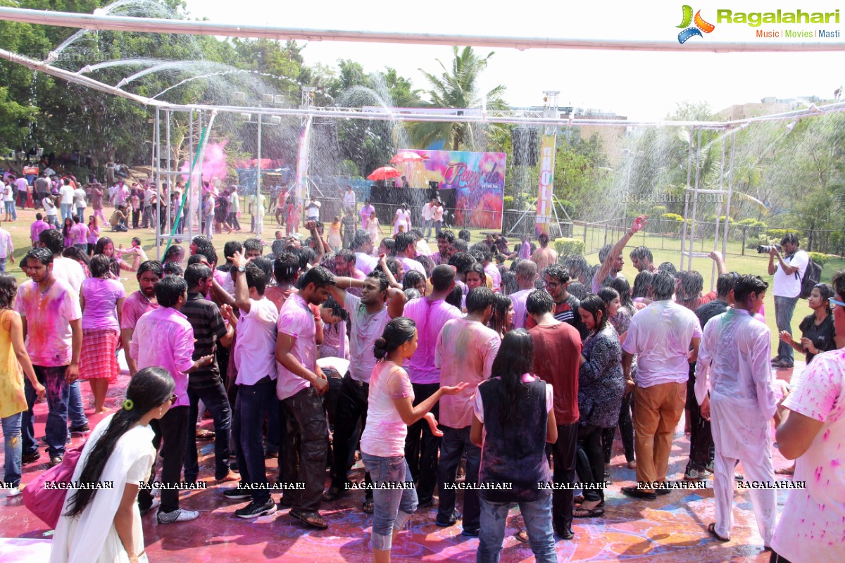 Rang De 2014 - Hyderabad's Biggest Holi Bash