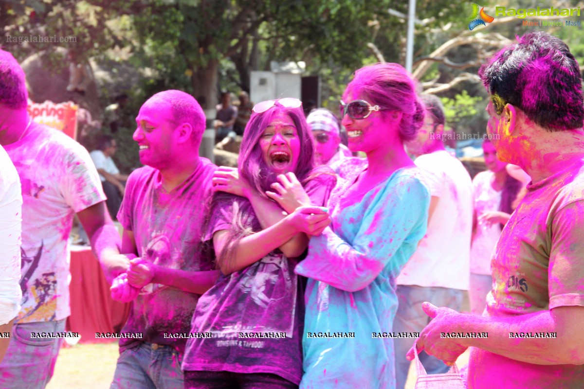 Rang De 2014 - Hyderabad's Biggest Holi Bash