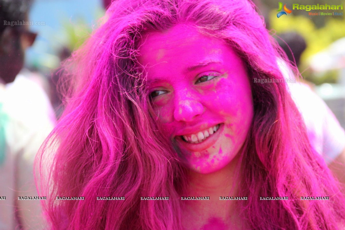 Rang De 2014 - Hyderabad's Biggest Holi Bash