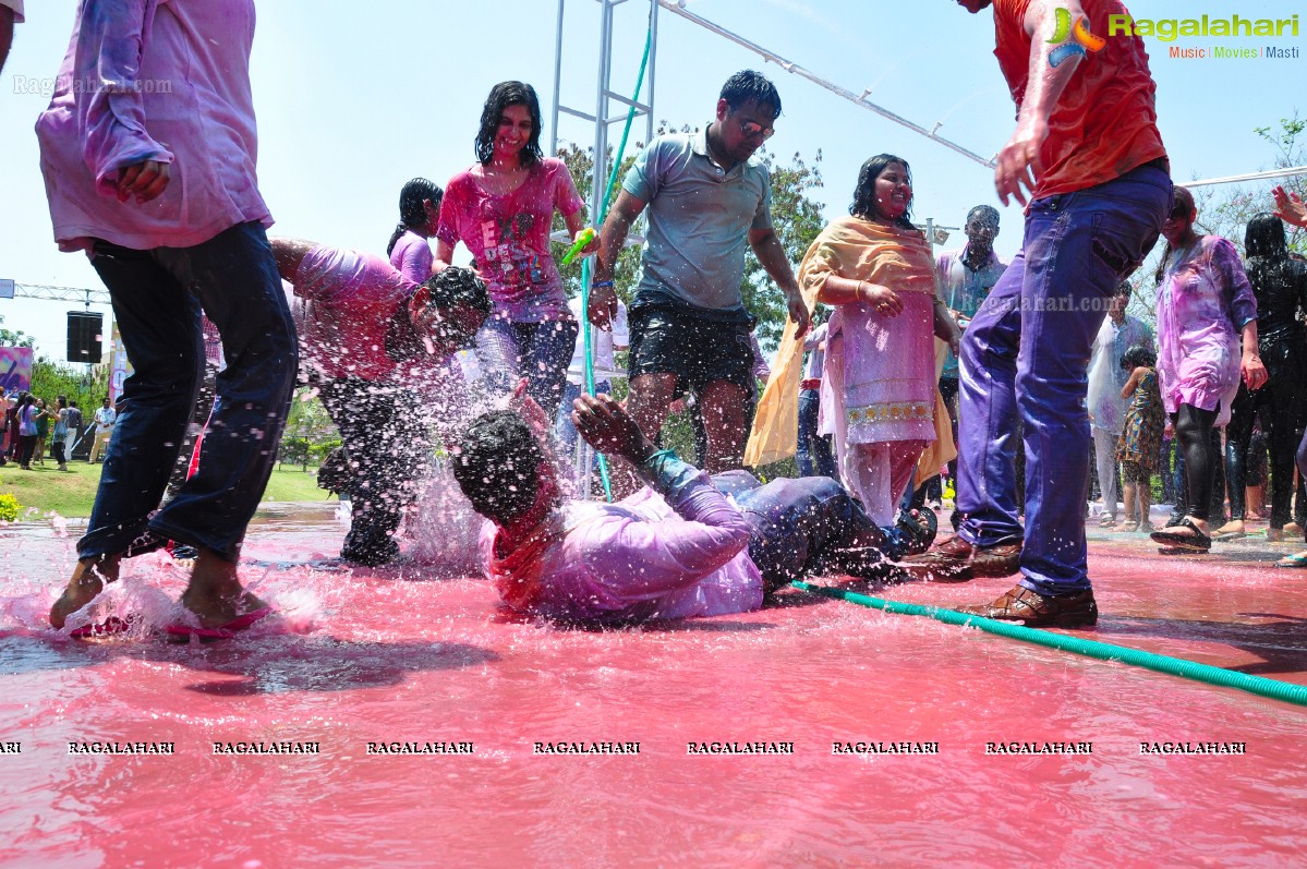 Rang De 2014 - Hyderabad's Biggest Holi Bash