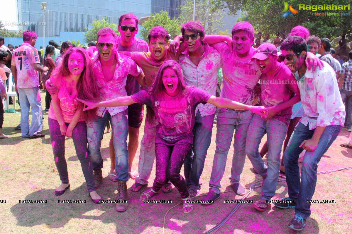 Rang De 2014 - Hyderabad's Biggest Holi Bash