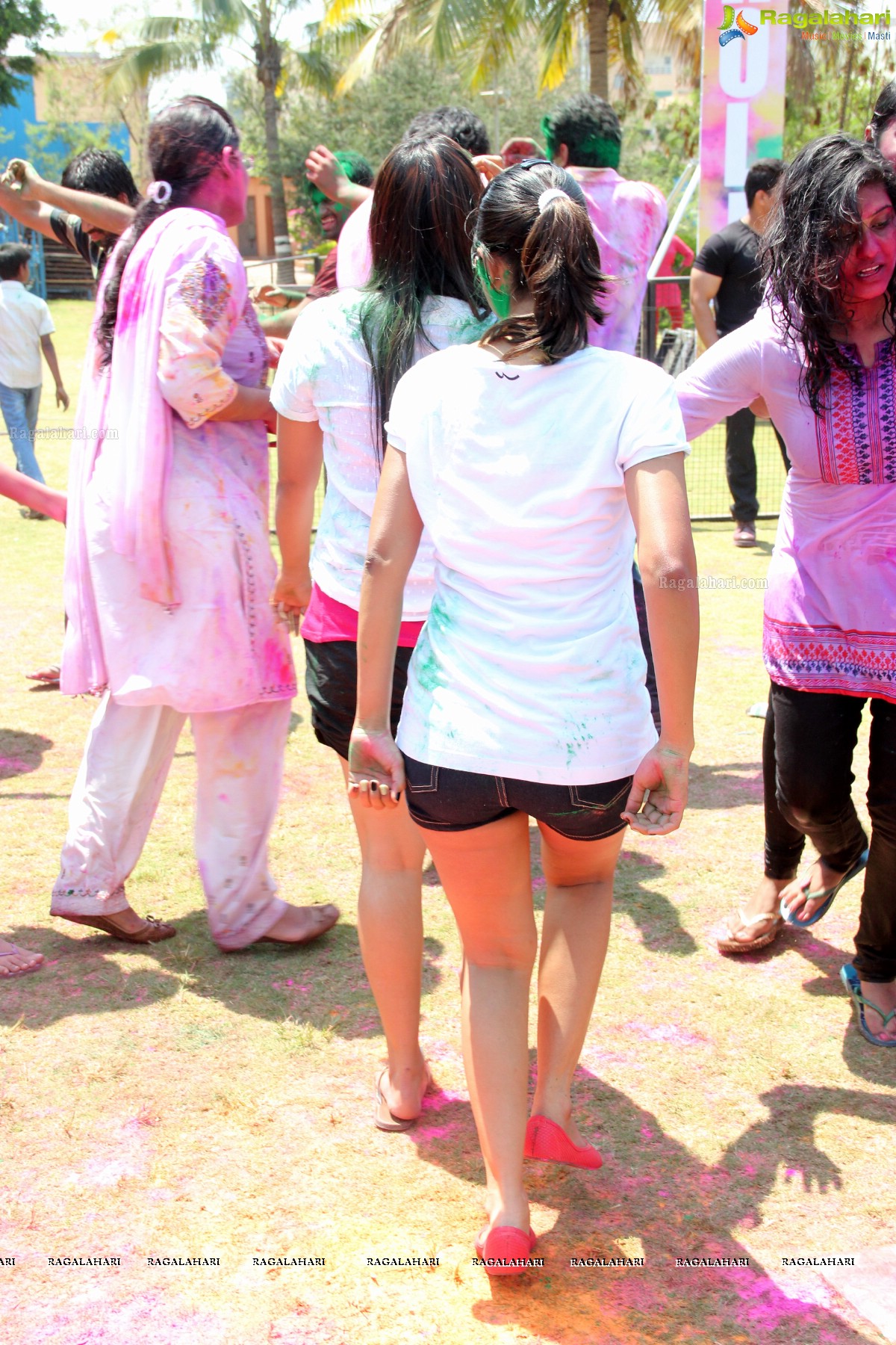 Rang De 2014 - Hyderabad's Biggest Holi Bash