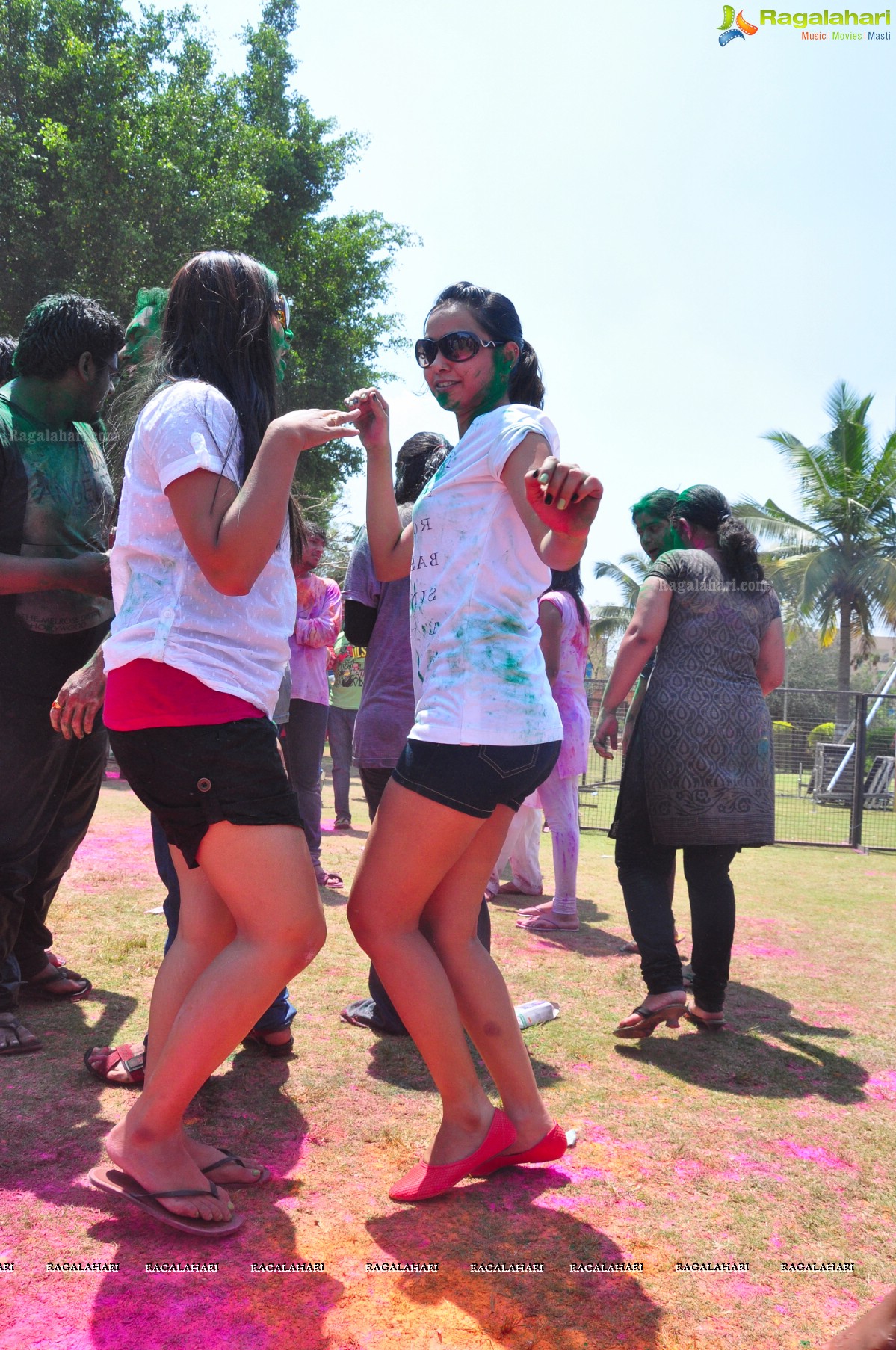 Rang De 2014 - Hyderabad's Biggest Holi Bash