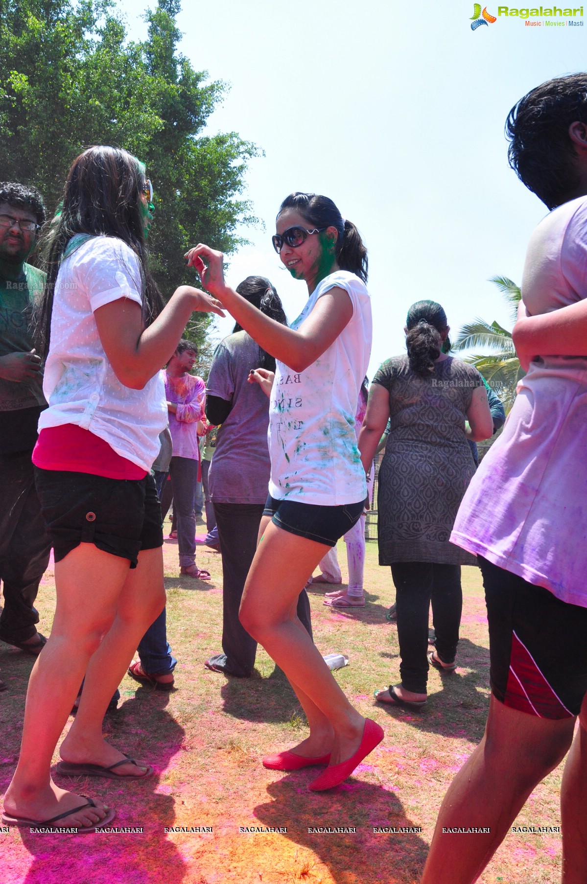 Rang De 2014 - Hyderabad's Biggest Holi Bash