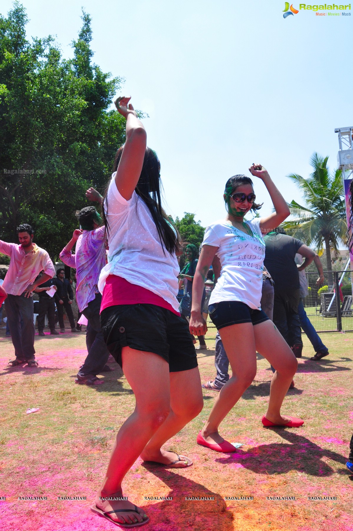 Rang De 2014 - Hyderabad's Biggest Holi Bash