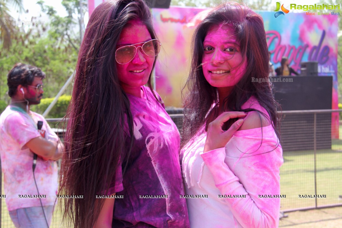 Rang De 2014 - Hyderabad's Biggest Holi Bash