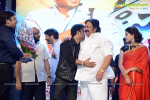 Son of Satyamurthy Audio Release