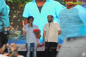 Son of Satyamurthy Audio Release