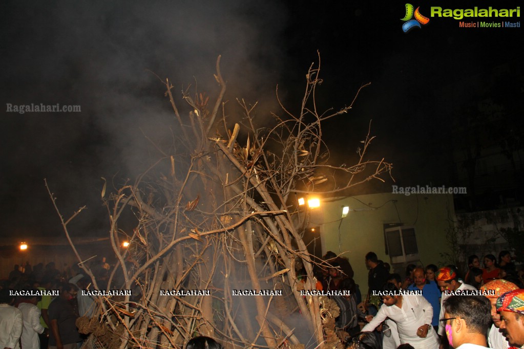 Agarwal Samaj Banjara Central Holi Festival 2015, Hyderabad