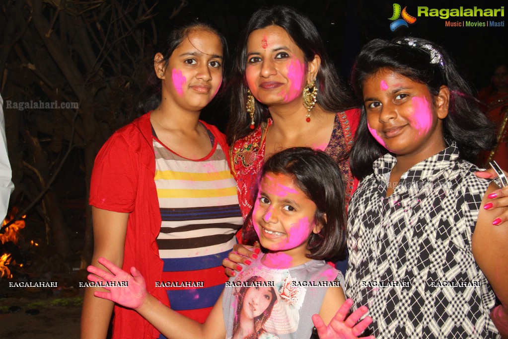 Agarwal Samaj Banjara Central Holi Festival 2015, Hyderabad