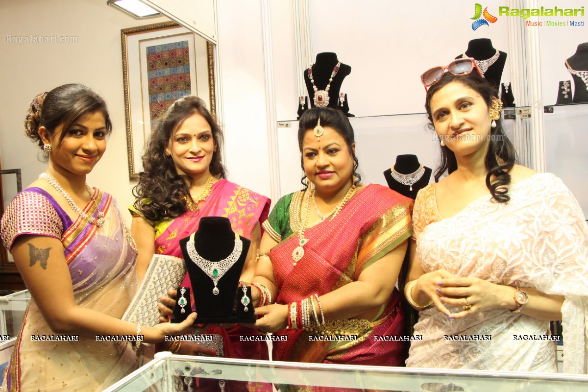 Sashi Nahata's Akritti Elite Exhibition at Taj Deccan, Hyderabad (March 2015)