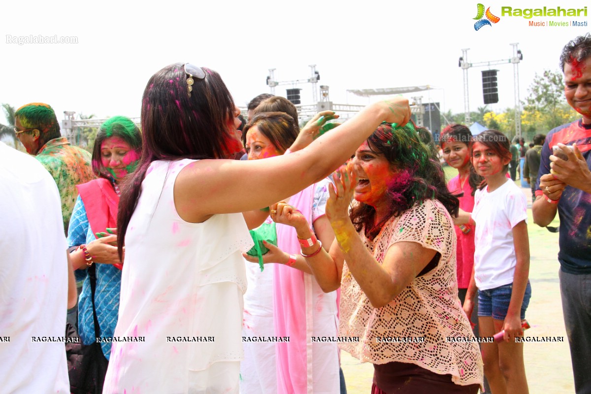 Bang Bang Holi Fest 2015 at Novotel, Hyderabad